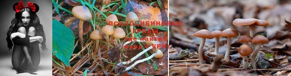 дурь Абдулино