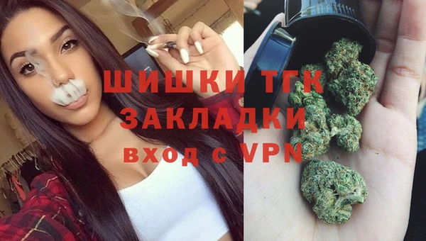 винт Абаза