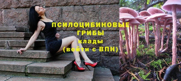 ГАЛЛЮЦИНОГЕННЫЕ ГРИБЫ Мегион