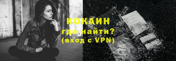 винт Абаза