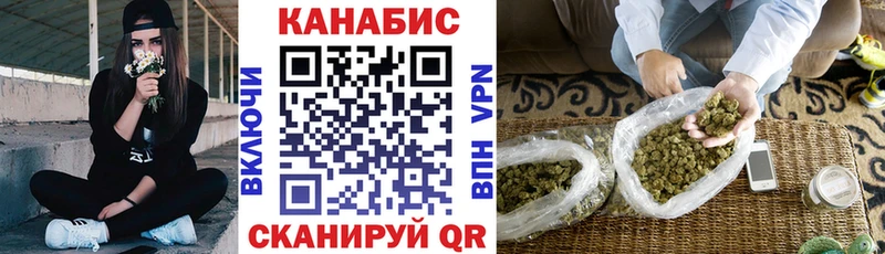 МАРИХУАНА сатива  Мурино 